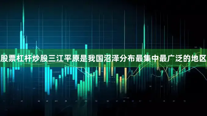 股票杠杆炒股三江平原是我国沼泽分布最集中最广泛的地区